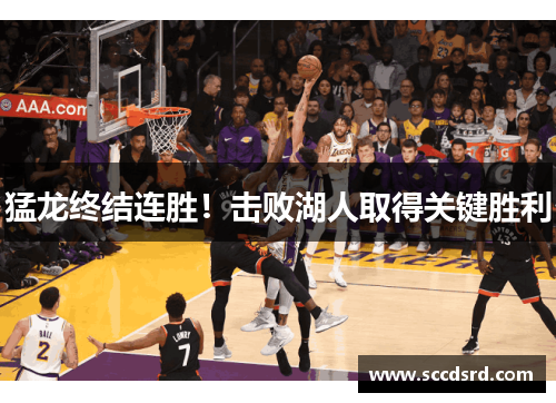 猛龙终结连胜！击败湖人取得关键胜利