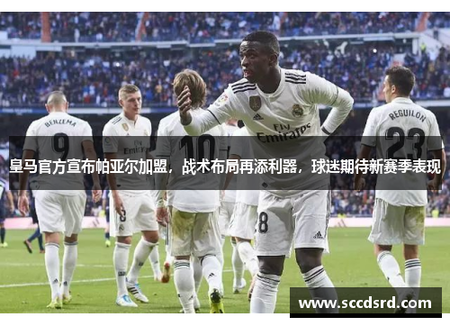 皇马官方宣布帕亚尔加盟，战术布局再添利器，球迷期待新赛季表现