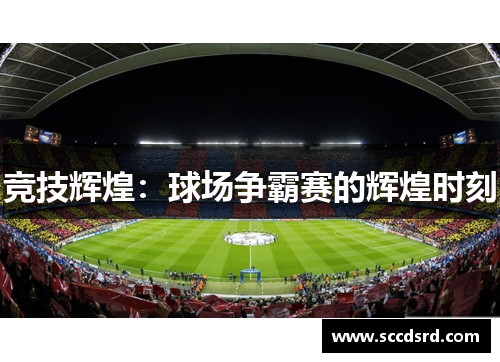 竞技辉煌：球场争霸赛的辉煌时刻